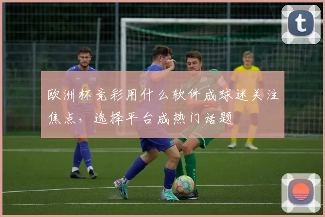 欧洲杯竞彩用什么软件成球迷关注焦点，选择平台成热门话题