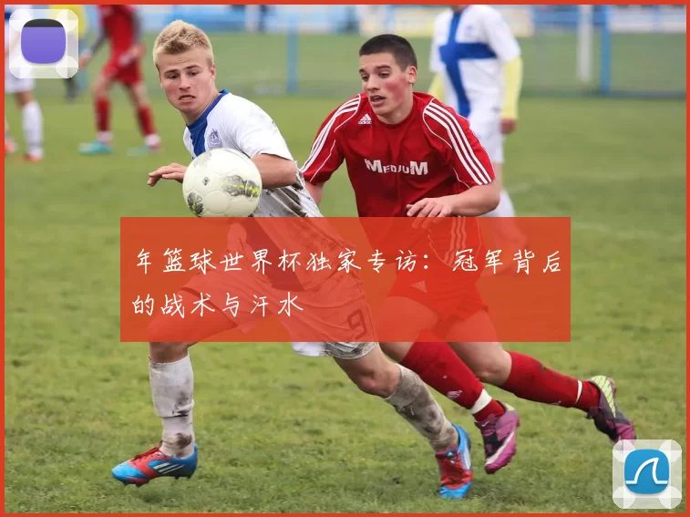 年篮球世界杯独家专访：冠军背后的战术与汗水