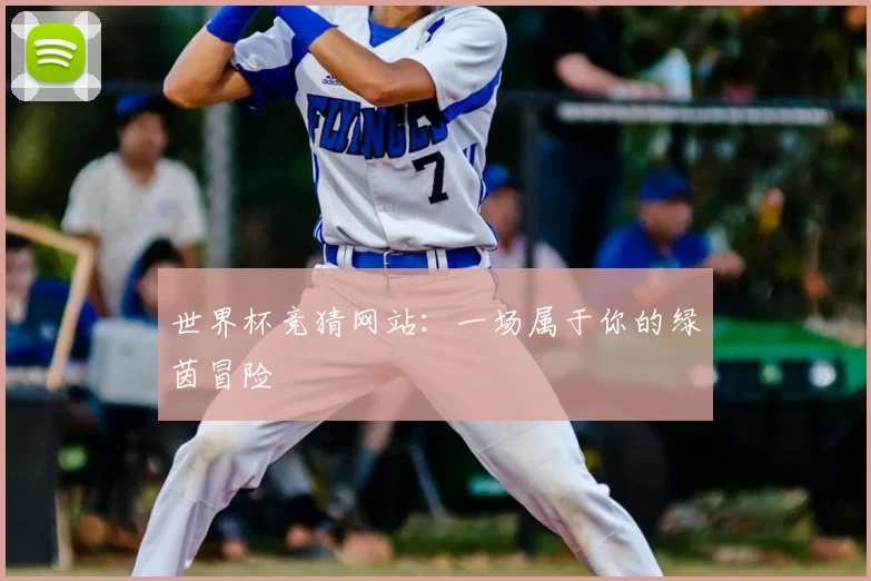 世界杯竞猜网站：一场属于你的绿茵冒险