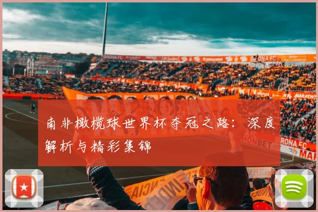 南非橄榄球世界杯夺冠之路:深度解析与精彩集锦
