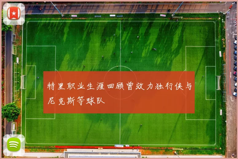 特里职业生涯回顾曾效力独行侠与尼克斯等球队