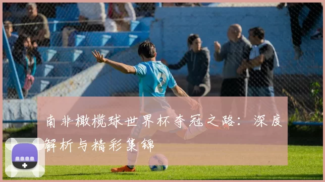 南非橄榄球世界杯夺冠之路:深度解析与精彩集锦
