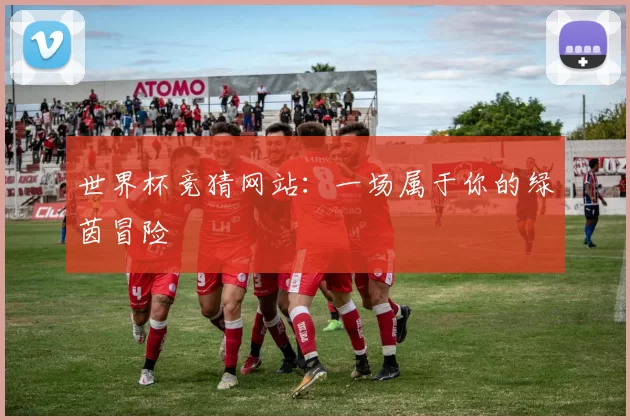 世界杯竞猜网站：一场属于你的绿茵冒险